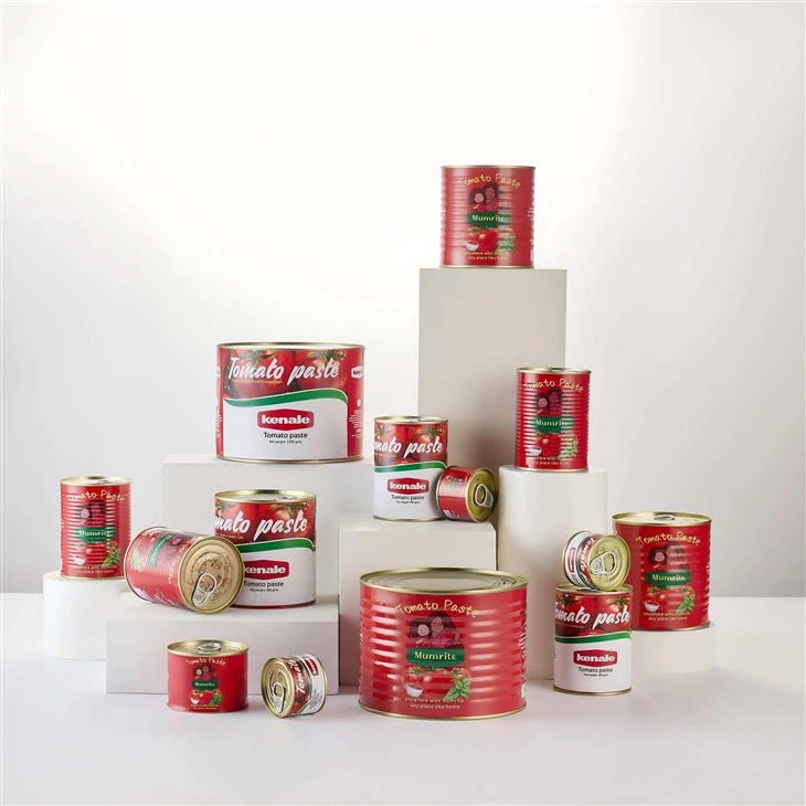 Double Concentrate Canned Tomato Paste high quality